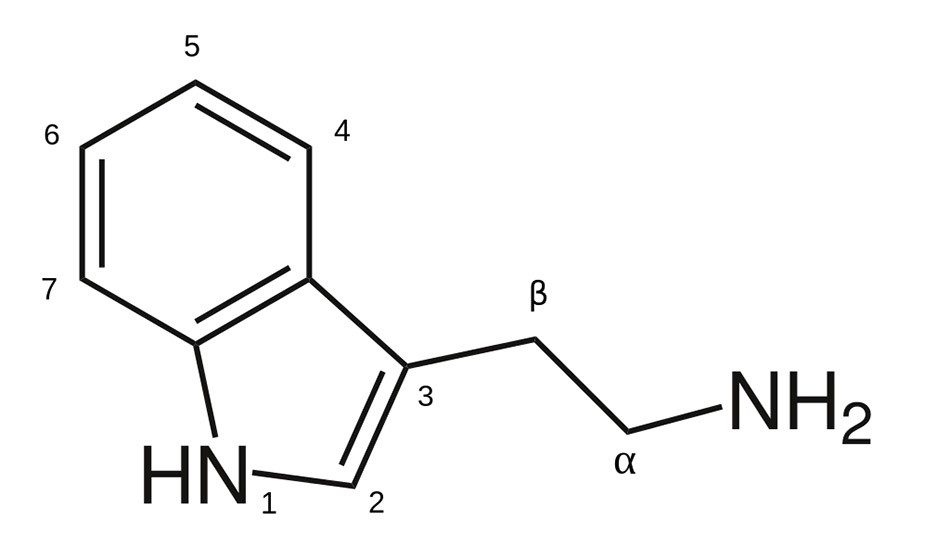 Tryptamines